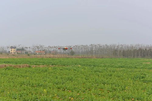 人勤春來早 荊州區(qū)農(nóng)業(yè)科技服務春耕備耕