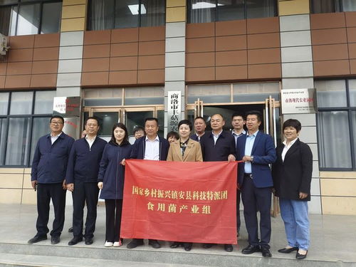 國(guó)家科技特派團(tuán)食用菌體系專家在大坪鎮(zhèn)開展科技服務(wù)