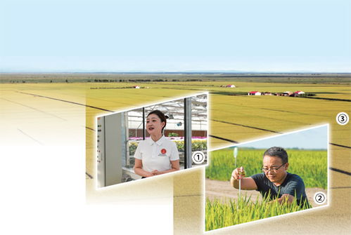 開辦田間課堂 提供農(nóng)技服務(wù) 開展農(nóng)產(chǎn)品電商直播 黑土地上扶農(nóng)助農(nóng)的年輕人