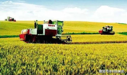 和辰咨詢 中央撥款45億 托管農(nóng)業(yè) 上升為國家重點(diǎn)支持項(xiàng)目