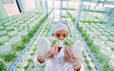 啥是高端農業?有哪些創業方向