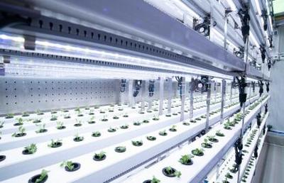 拼多多發(fā)布Q3財報,&ldquo;百億減免&rdquo;效用顯現(xiàn),繼續(xù)加大投入&ldquo;新質(zhì)供給&rdquo;