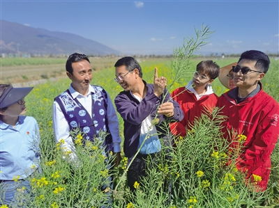 中國農(nóng)業(yè)大學2009年探索成立科技小院,培養(yǎng)農(nóng)業(yè)高層次人才,服務(wù)農(nóng)業(yè)農(nóng)村現(xiàn)代化建設(shè) 中國農(nóng)大已在全國建立139個科技小院