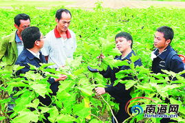 十年一鳴海南農(nóng)業(yè)科技110 鳥(niǎo)槍換炮 惠農(nóng)民