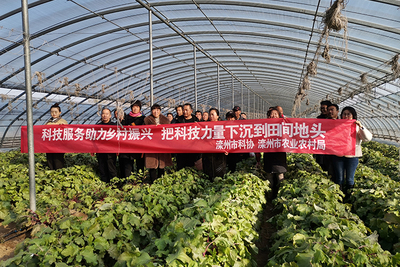 灤州市科協(xié)開展科技下鄉(xiāng)助農(nóng)服務(wù)活動(dòng)