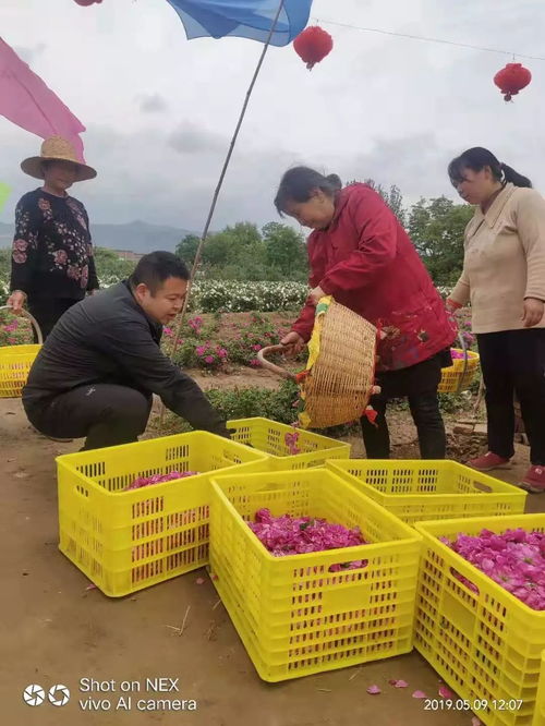 助力脫貧攻堅(jiān) 團(tuán)團(tuán)大集開(kāi)集啦