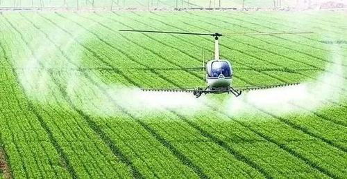 農(nóng)業(yè)農(nóng)村部 國(guó)家鄉(xiāng)村振興局 鼓勵(lì)社會(huì)資本投資的13個(gè)重點(diǎn)產(chǎn)業(yè)和領(lǐng)域