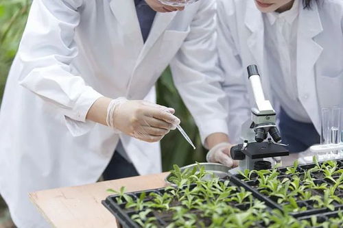 農(nóng)業(yè)農(nóng)村技術(shù)人才庫(kù) 實(shí)現(xiàn) 人盡其才,才盡其用 的路徑