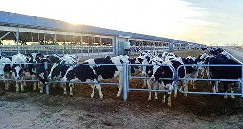 農(nóng)發(fā)行金昌市分行推動農(nóng)業(yè)科技加速轉(zhuǎn)化