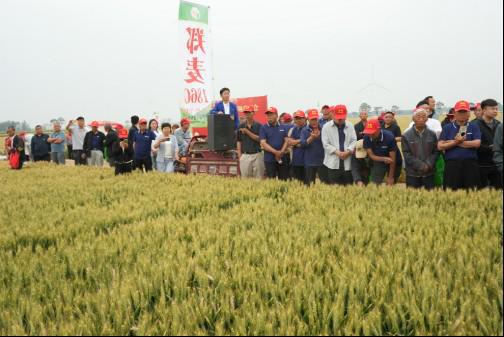 優(yōu)特產(chǎn)業(yè)支撐計(jì)劃優(yōu)質(zhì)小麥專(zhuān)項(xiàng)在滑縣召開(kāi)觀摩會(huì) 鄭麥1860樹(shù)立 種糧一體化 新標(biāo)桿