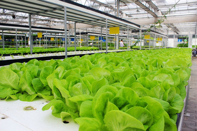 中國科技農業展示園