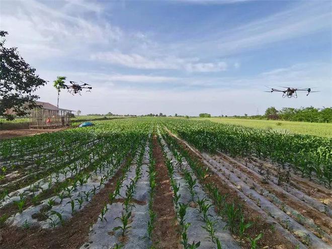 鄉(xiāng)村振興行動丨靈臺:發(fā)展農(nóng)業(yè)生產(chǎn)社會化服務 培育新時代&ldquo;田管家&rdquo;