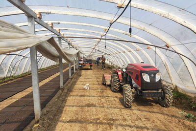 銅山區(qū)黃集鎮(zhèn)政協(xié)聯(lián)絡組在行動