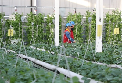 黨員服務隊員們上門走訪。閆蓓供圖