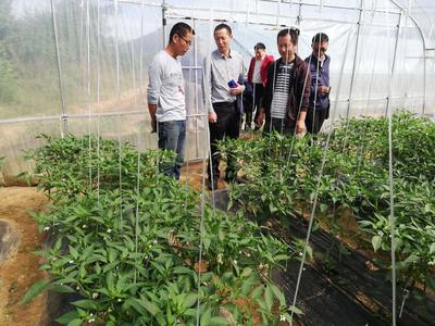 湖北省科學(xué)技術(shù)協(xié)會(huì)