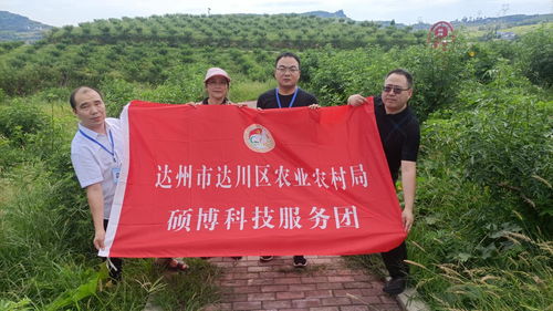 達(dá)州市達(dá)川區(qū)農(nóng)業(yè)農(nóng)村局 碩博科技服務(wù)團(tuán) 助推鄉(xiāng)村產(chǎn)業(yè)結(jié)碩果