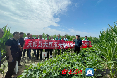 無棣縣科技特派員送“技”到田間，助力農業科技服務升級