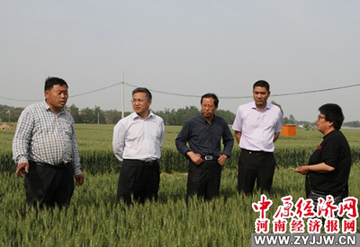 河南農業大學 科技套餐送達田間地頭，精準服務助推鄉村振興