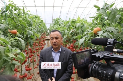 深耕研發 孕育希望——壽光市政協委員劉樹森的“種業夢”與農業科技服務